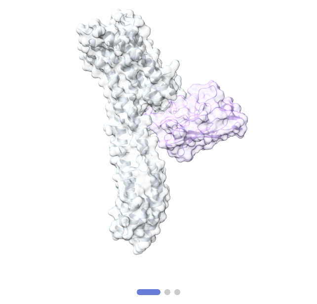 A GPCR protein structure solved by Shuimu Biosciences's CryoEM