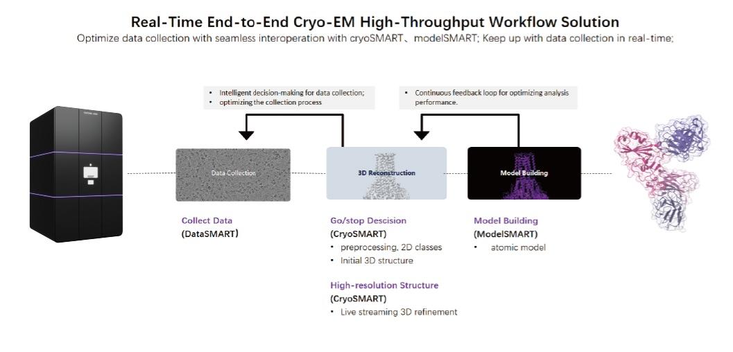 The SMART software series, developed by Shuimu BioSciences, is the only tool platform in the industry that comprehensively covers the entire process of cryoEM data computation.