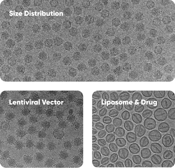 NanoSMART, an AI cryoEM system, automatically identifies nanoparticle features in images from various electron microscopes