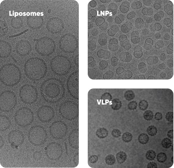 NanoSMART, an AI cryoEM system, automatically identifies nanoparticle features in images from various electron microscopes