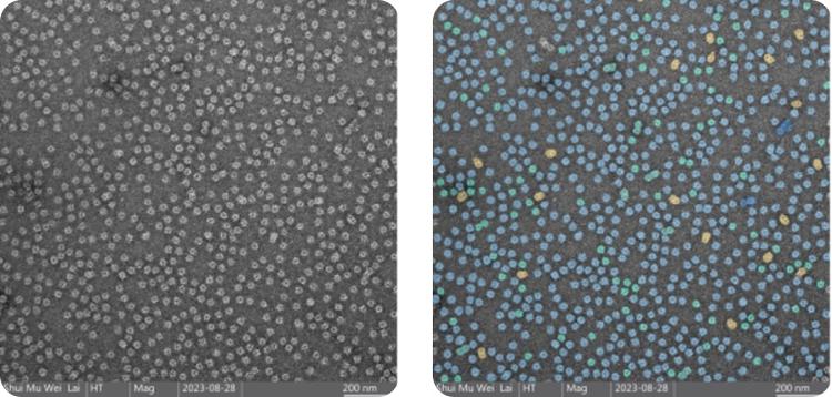 NanoSMART, an AI cryoEM system, automatically identifies nanoparticle features in images from various electron microscopes