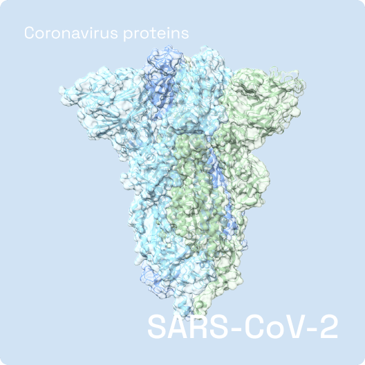 SARS-CoV-2 Scaned by Shuimu Biosciences