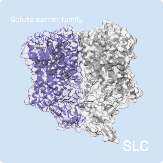 SLC Scaned by Shuimu Biosciences