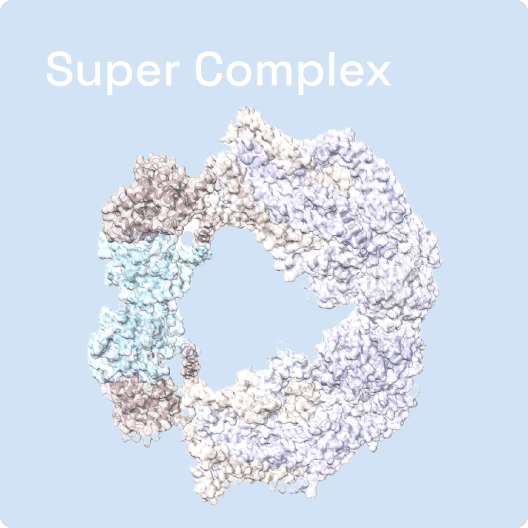 Super Complex Scaned by Shuimu Biosciences