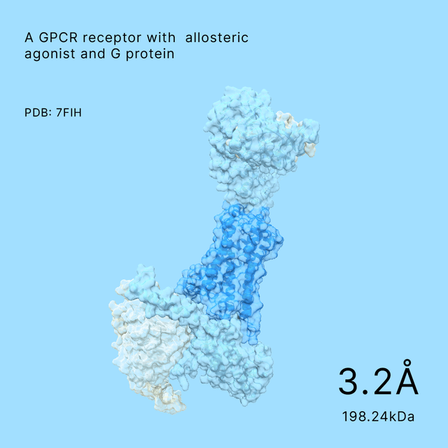 GPCR receptor complex with an allosteric agonist and G protein, detailed at 3.2Å resolution and weighing 198.24kDa from Shuimu Biosciences.