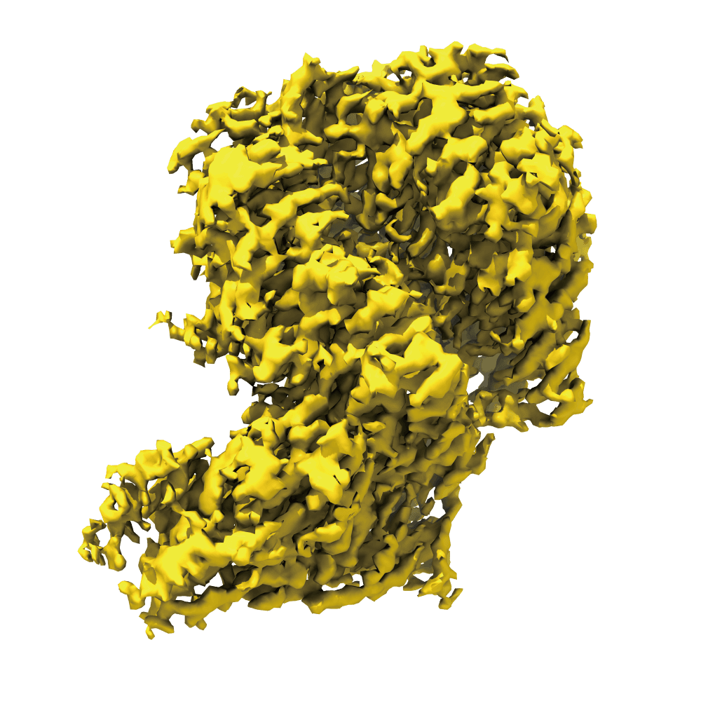 CryoEM at Shuimu CryoEM Center