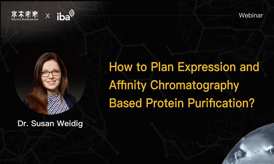 How to Plan Expression and Affinity Chromatography Based Protein Purification?